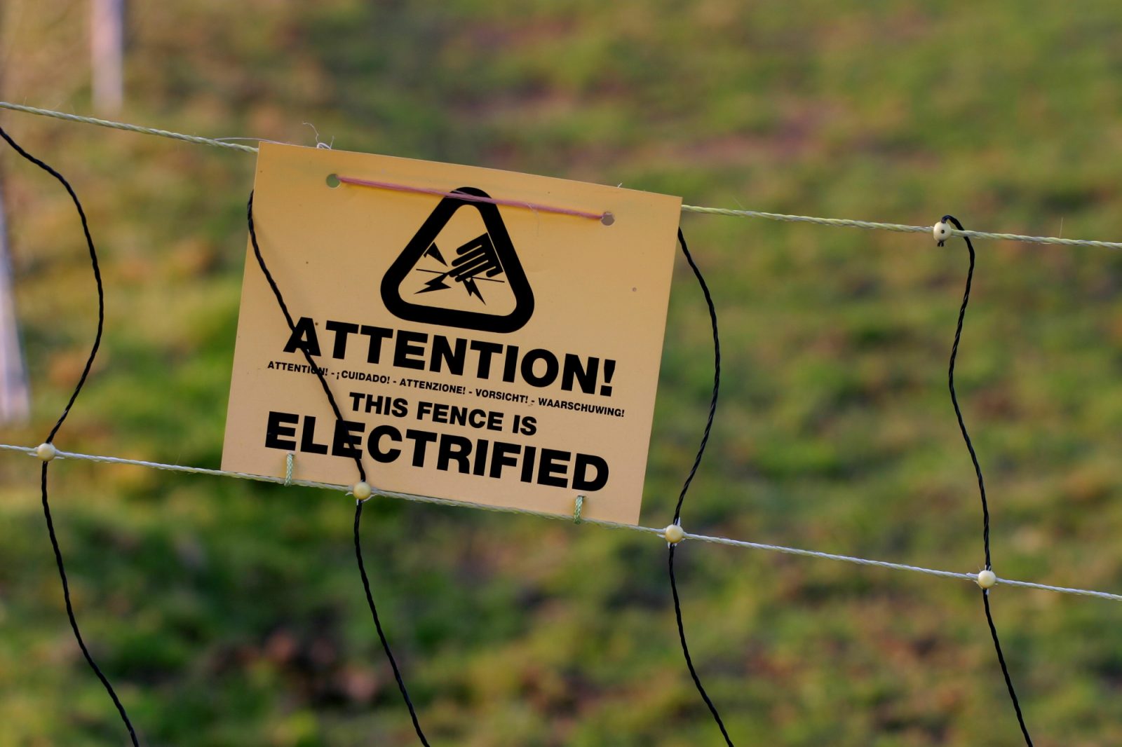 Zakaj se v kmetijstvu pogosto uporablja električni pastir ?